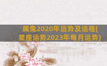 属兔2020年运势及运程(星座运势2023年每月运势)